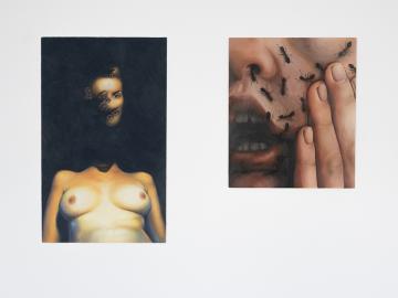 DNA Art - Diplôme de Capucine Cozian, 2023