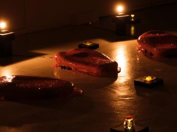 DNSEP SES - Diplôme de Marianne Mériguet, 2023