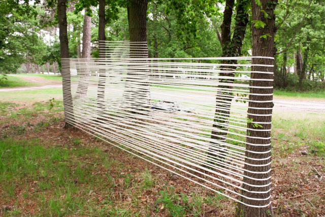 Installation en extérieur. Des liens blancs sont tendus entre des arbres, formant des lignes horizontales dans lesquelles le vent s'engouffre.