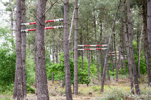 Des barres de saut hippique sont installées à plusieurs mètres de hauteur dans des sapins, formant ainsi un parcours hippique suspendu.